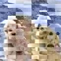 07//07//25